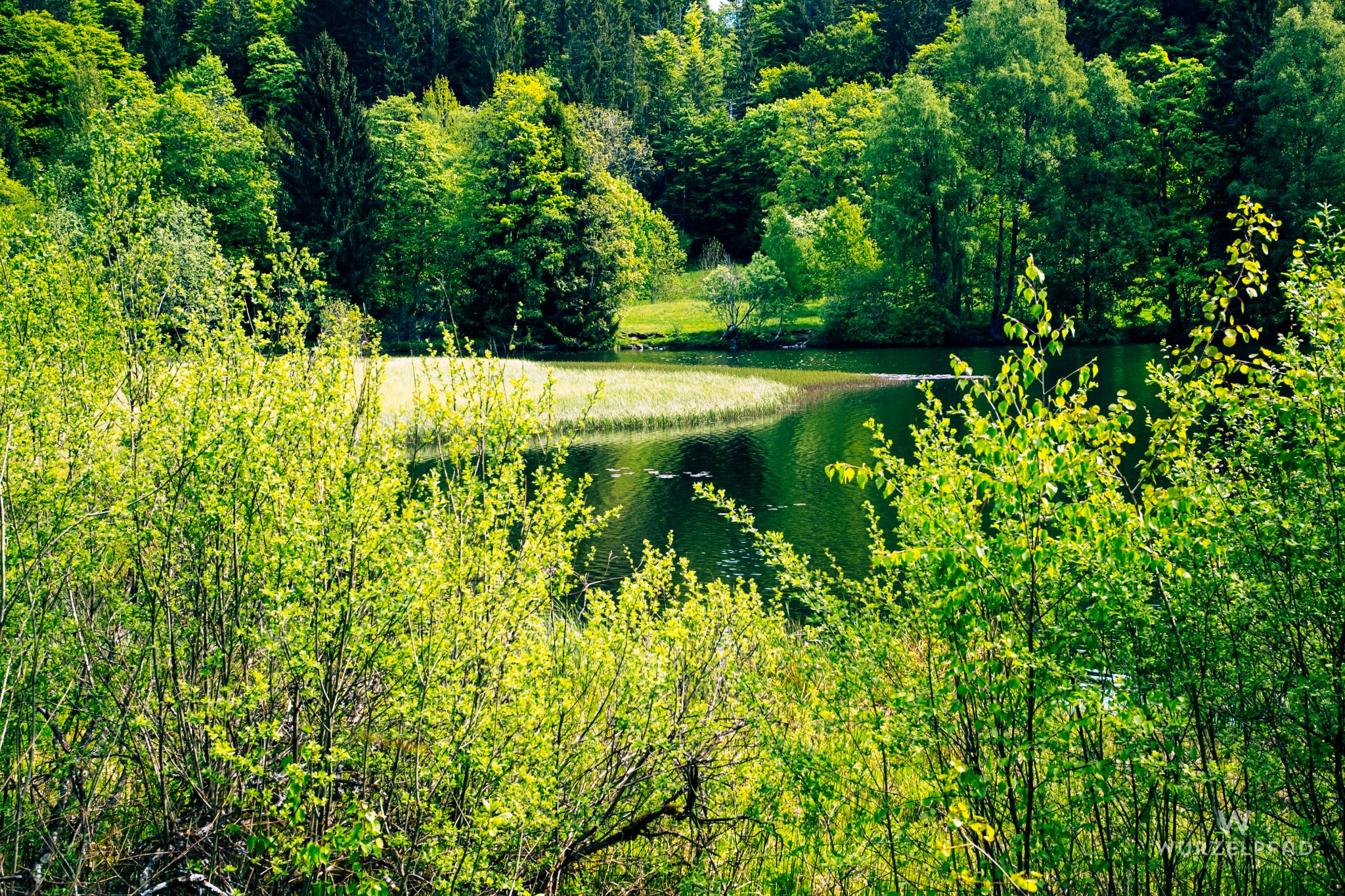 Klosterweiher in Horbach